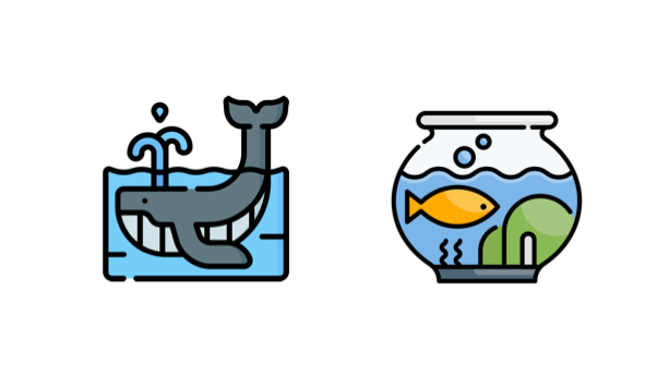 project thumbnail